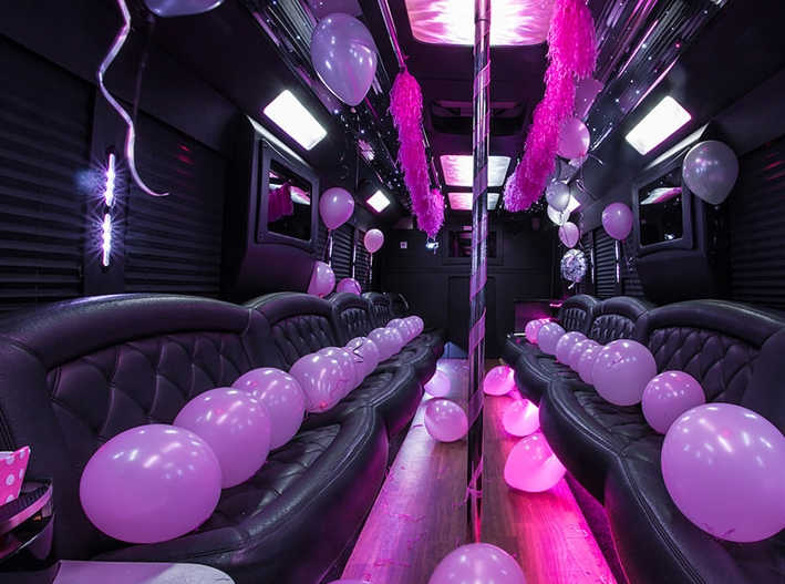 party Limo